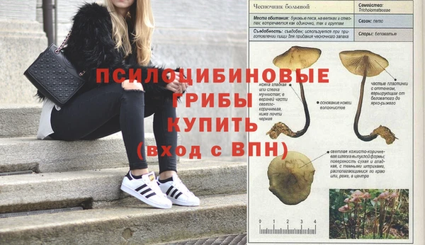 МДМА Пролетарск