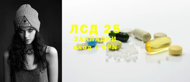 крисы Ростов