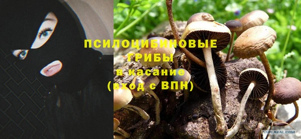 спайс Саяногорск