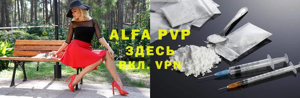 крисы Ростов