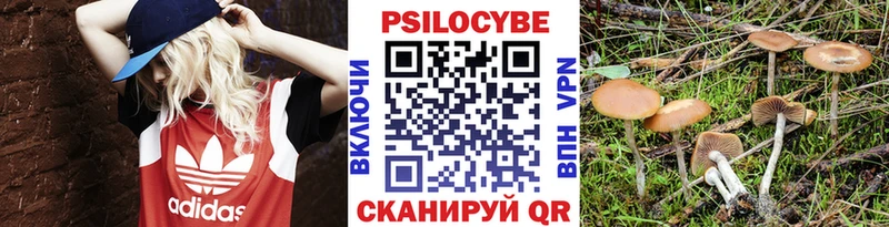 Галлюциногенные грибы мухоморы  Купить  Карабулак 